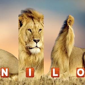 animal name jigsaw puzzle