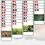 Solitaire Animals