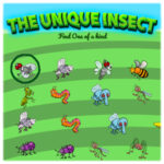 THE UNIQUE INSECT: Finding the Odd Bug
