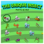 THE UNIQUE INSECT: Finding the Odd Bug