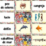 Ocean Animals in Spanish Memory Game