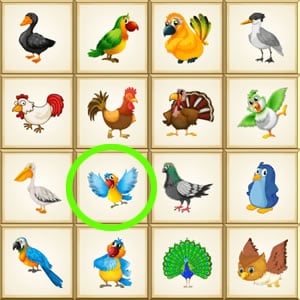 Visual discrimination game online