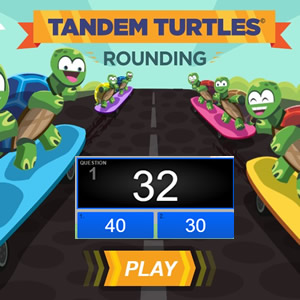 tandem turtles rounding