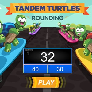 tandem turtles rounding