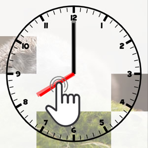 interactive clock to teach the time, drag the hands