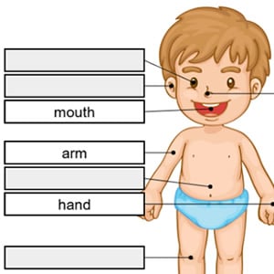 parts of the body game