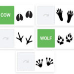 Animal Footprint Matching Game