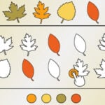 AUTUMN ASSOCIATION: Shapes and Colors