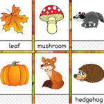 AUTUMN FLASHCARDS Matching Game