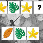 Autumn Leaves Pattern Logic