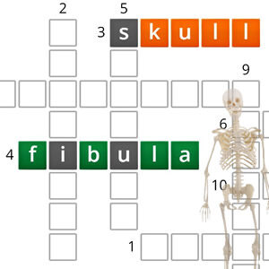 Bones Crossword Puzzle