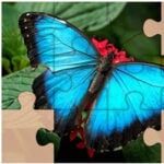 Butterfly Jigsaw Puzzles