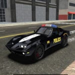 Police Car simulator