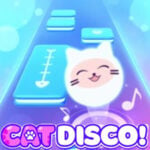 CAT DISCO!