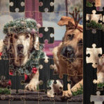 Christmas Dogs Jigsaw Puzzle