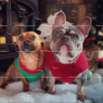 Christmas Pets Jigsaw Puzzles