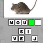 ANIMALS PICTURE QUIZ for Kids