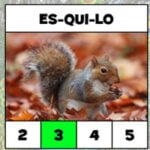 Count the number of syllables in Portuguese