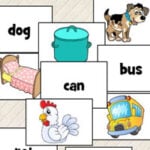 CVC Words Flashcards