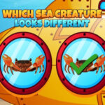 Which is Different? Sea Animals