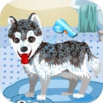 DOG WASH Game