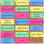 EMOTIONS game in French