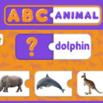 Magnetic Cards Animals in English