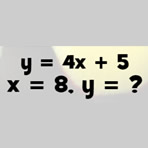 Equation in two variables Puzzle