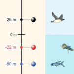 Explore Integers: Height above sea level