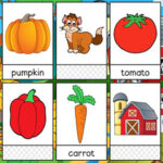 Farm Flashcards