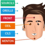Parts of the Face in French