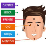 Parts of the Face in Spanish