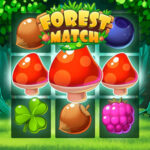 FOREST MATCH: Puzzle Game