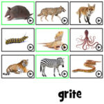 French Animals: Word Scramble