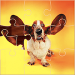 Funny Dog Jigsaw Puzzles