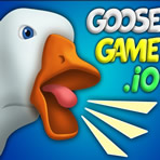 Goose.io