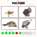 Guess the ANIMAL PICTURE game (with answers)