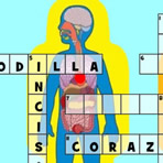 Human Body Crossword in Spanish