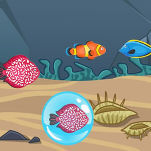 Find the Identical Fish attention game for kids