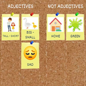 Identifying Adjectives for children