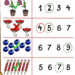 Interactive Counting