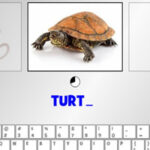 Keyboard Typing: Animals