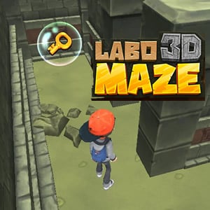 Escape the Labyrinth: Labo 3D Maze