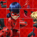 Ladybug Sliding Puzzle