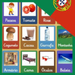 Living and Inert Beings in PORTUGUESE