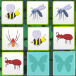 Pairs of Insects: Memory Game