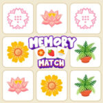 MEMORY MATCH Game for Adults