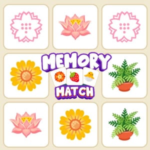 MEMORY Games for Adults on COKOGAMES