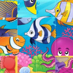 Ocean Animals