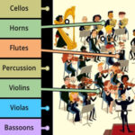 Orchestra Instruments Diagram Game